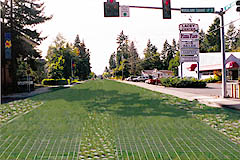 Sixth Avenue rendering, Lacey