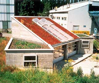 green roof