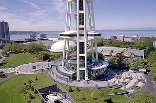 base of the needle